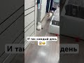 тест на психику😂 short shortsvideo tiktok джекрассел мем приколы собакаприколы edit собака