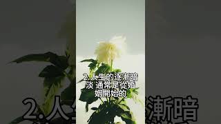 洞悉 覺悟 超脫 45#因果關係 #夫妻 #輪迴