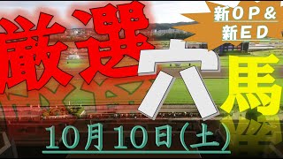 【厳選穴馬】10月10日（土）中央競馬より厳選4頭！！【新ＯＰ＆新ＥＤ】#keiba#競馬#競馬予想