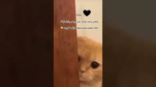 کسایی که مثل من هستن اعلام حضور کنند🫣😅 #shortvideo #love #دوست #poetry #رفیق #لايك #فان #funny #طنز