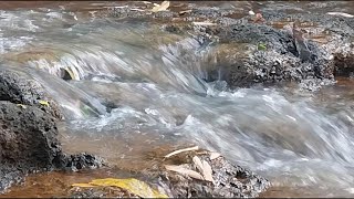 Relaxing River Sounds - No Birds - Natural White Noise - Relax, Sleep, Study - Nature Video