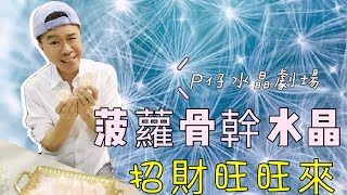 (劇場版)【P仔巧遇 菠蘿骨幹水晶】旺來旺來 I 水晶簇 I 紅皮水晶 I 列木里亞 I 天鐵 I 粉晶 I 紫晶 I 白晶 I 綠幽靈 I 七色石 I 黃晶 I 鈦晶 (請打開youtube字幕)