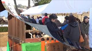 「新春の京都見てある記」　⑤　上賀茂神社・白馬奏覧神事（１月７日）