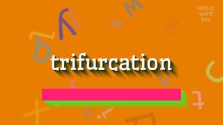 TRIFURCATION - HOW TO PRONOUNCE IT?