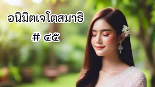 #อนิมิตเจโตสมาธิ ๔๕ :แหล่งแห่งความสุขนิรันดร์🌻