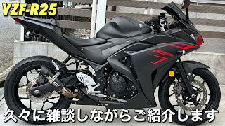 【YZF-R25】のなかなかエエのが入ったので紹介します〜