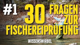 Fischereischein-Quiz: 30 Wichtige Fragen zur Vorbereitung auf die Prüfung! Angelprüfung #1