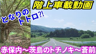 【車載動画】青森県階上町 赤保内から茨島のトチノキを通って蒼前まで となりのトトロ⁈　ドライブ　東北　旅行 　東北旅行 　スマホ　Date : 2023-5-27 JAPAN