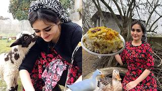 Iran Village Cooking | Turkish Lunch(Bastirma Plov)Over Open Flames