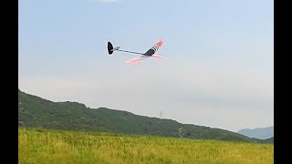 CX5　dlg　F3K　ハンドランチグライダー　低空から粘ってあげました。