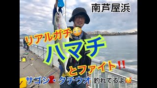 ハマチとファイト！タチウオ・サゴシなど色々釣れてる fishingmax芦屋店