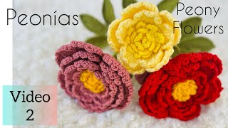 Peonías a crochet- video 2