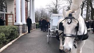 White Horse and Hearse Carriage Brenna Funeral Home to Greenwood Cemetery Hamilton NJ January 2 202