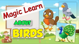 Magic learn about Birds | Fun video learning for kids