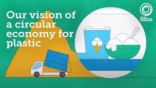 The vision for a circular economy for plastic