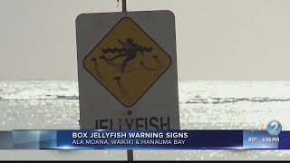 Jellyfish Signs