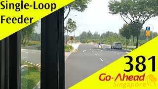 Singapore Go-Ahead Singapore Feeder Bus Service 381 Route Visual