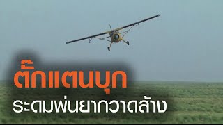 TNN ข่าวเย็น | ตั๊กแตนบุกปากีสถาน ระดมสรรพกำลังกวาดล้าง