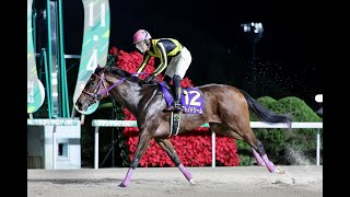 【佐賀競馬】第2回ネクストスター佐賀（2024.11.4）