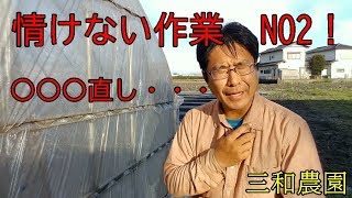 風で飛ばされたマルチ直し　NO115