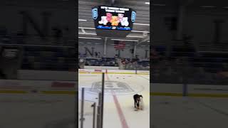 Teddy bear￼ toss! ￼#hockey #viralvideo #Fundraiser ￼#hockeyhighlights #teddybear