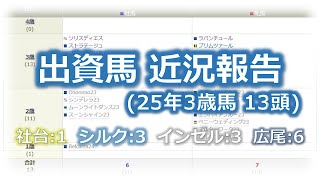 出資馬 近況報告(2025年3歳馬 13頭)