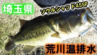 埼玉県 荒川温排水 ソウルシャッド45SP反応良しです(^^)b