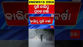 ପୁଣି ୨୪ରୁ ବର୍ଷା ସମ୍ଭାବନା ! Low Presure Rain In Odisha | Weather Update | Rain In Winter | Odia News