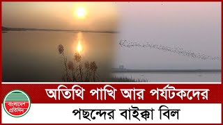 চোখ জুড়ানো মন মাতানো বাইক্কা বিল! | Baikka Beel | Bangladesh Pratidin