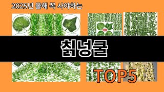 칡넝쿨 알리익스프레스에서 핫한 신상템 BEST 10