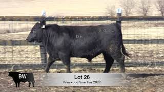 BWF S2023 Lot 26 - Briarwood Sure Fire 2022