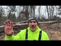 carving up a massive log breaking down a big chunk of firewood