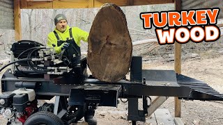 Carving Up a Massive Log - Breaking Down a Big Chunk of Firewood