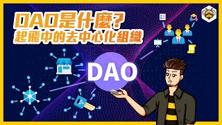 🐝什麼是DAO? 介紹｜什麼是DAO？從DeFi、NFT、到帶你看「去中心化組織」的起飛！DAO解釋、種類與解析