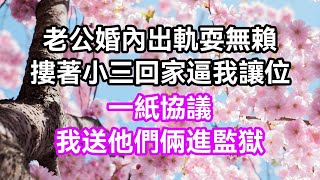 老公婚內出軌耍無賴，摟著小三回家逼我讓位，一紙協議，我送他們倆進監獄 | 蝴蝶家庭說 #幸福人生 #為人處世 #生活經驗 #情感故事