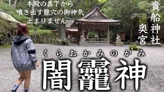 【貴船神社 奥宮】※霊感の強い方は注意。溢れ出した龍穴の御神気が止まりません…闇龗神が大暴れします。