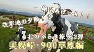 【北海道ぶらり旅】第2弾 美幌峠･900草原編 一緒に北海道を堪能しよう‼️