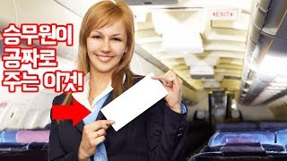 기내에서 승무원에 물어만보면 공짜로 주는것 TOP16 -트래블튜브