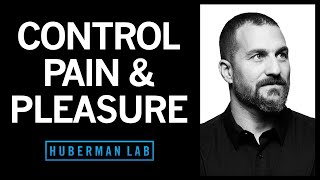 How to Control Your Sense of Pain & Pleasure