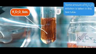 Silver Nitrate (AgNO3) Reaction With Potassium dichromate (K2Cr2O7) |  K2Cr2O7+AgNO3