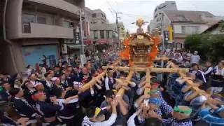 30年    　北澤八幡神社　例大祭　本社神輿宮入道中です　迫力満点「生」。