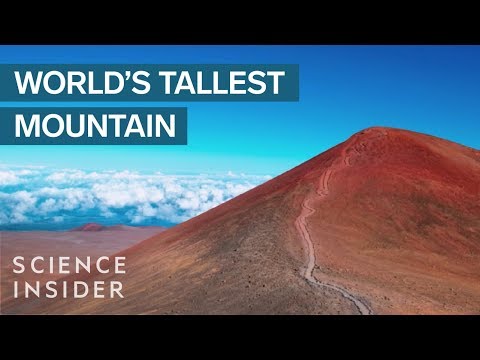 Is Mauna Kea the highest mountain in the world?