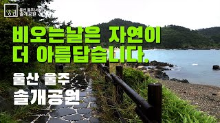 울산에서 맞이하는 제주도 해안공원 St. 울산 울주(서생) 솔개공원