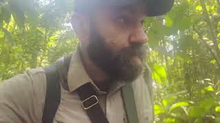 Field recording behind the scenes 28 - Exploring the Amazon rainforest