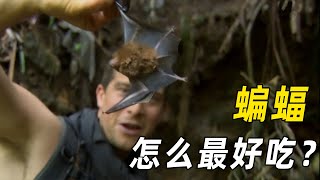 贝爷到中国荒野求生，竟对蝙蝠下口，这味道真上头