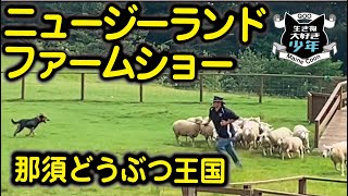 【那須どうぶつ王国】ニュージーランドファームショーと牧羊犬の活躍