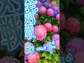 6月9日・調布はあとふるホール大会！