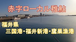 福井方面も厳し目な季節？　三国港突堤→福井新港→鷹巣漁港で小物釣り