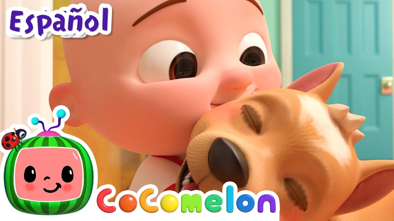 Mi Perro, Bingo | @CoComelon En Español - Canciones Infantiles ...