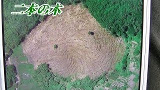 山が間伐されて剥げた場所に、二本だけ立ってる木をドローンで空撮してみた！